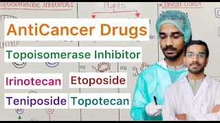 Topoisomerase Inhibitor  Irinotecan  Topotecan  Etoposide  Teniposide [upl. by Eitak]