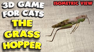 3D game for cats  CATCH THE GRASSHOPPER isometric view  4K 60 fps stereo sound [upl. by Ayres]