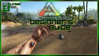 BEGINNERS GUIDE  HOW TO GET STARTED IN ARK SURVIVAL EVOLVED Soloing the Ark S5E1 [upl. by Catto]