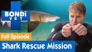 🦈 Dr Chris Browns Shark Rescue Mission  FULL EPISODE  S7E15  Bondi Vet [upl. by Patterson]