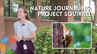 Nature Journaling Project Squirrel [upl. by Jonina]