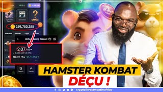 Hamster Kombat a foiré  Plus jamais de Tapotage  airdrop crypto [upl. by Ingrim61]