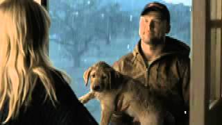 What video storytellers can learn from Budweisers Super Bowl Puppy Love ad [upl. by Nattirb]