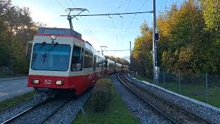 Durchfahrt vo de S18 Schnelzug nach Esslingen in Zollikon Waldburg [upl. by Torbert]