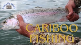 Fly fishing the Cariboo region of BC [upl. by Lough]