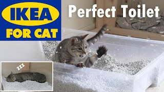 IKEA  Big cat litter box less than 10 [upl. by Ziguard]