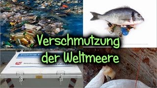 Verschmutzung der Weltmeere  Umweltvideo [upl. by Zavala]