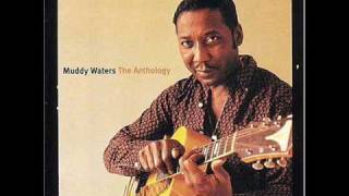 Muddy Waters  Mannish Boy [upl. by Litha]