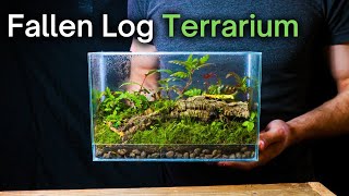 Creating a SIMPLE But BEAUTIFUL Ecosystem StepbyStep Terrarium Guide [upl. by Odlonyer]