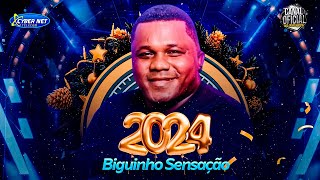 🟥 BIGUINHO SENSAÇÃO 2024  REPERTÓRIO NOVO  ATUALIZADO  MÚSICAS NOVAS  BIGUINHO SENSAÇÃO [upl. by Robers]