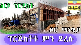 ፕሮጀክቶቹ ምን ደረሱ ዶሮ ማነቂያ አርሾ ፕሮጀክ Addis Ababa walk and talk ETHIOPIA 4K [upl. by Thilde]