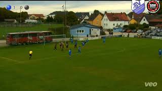 Landesliga Mitte 14 Spieltag SVSE vs Eggenfelden [upl. by Cullan]