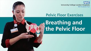 Pelvic Floor Exercises  Breathing and the Pelvic Floor [upl. by Adnerak762]