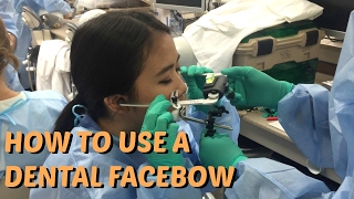 How To Use A Dental Facebow  Brittany Goes to Dental School [upl. by Matthew]