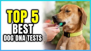 Top 5 Best Dog DNA Tests  Extreme Reviewer [upl. by Akinehc]