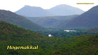 A Trip to Hogenakkal Falls  Must Watch before Visit  Dharmapuri Tamilnadu [upl. by Euqinot]