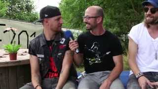 TaubertalFestival 2013  Interview mit Hoffmaestro [upl. by Hamrnand]