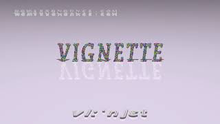 vignette  pronunciation  Examples in sentences and phrases [upl. by Maurilia]