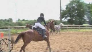 Equitation  Championnat de Vendée de Saut dObstacles 2011 [upl. by Monafo]