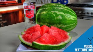 Easy Vodka Infused Watermelon Recipe The Ultimate Summer Treat Popular [upl. by Bhatt741]