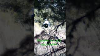 Sniper shoots at D14 airsoft phonk slowed phonkmusic remix music airsoft sniping D14airsoft [upl. by Kimura208]