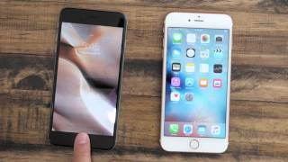 iPhone 6s Plus Touch ID Compared to iPhone 6 Plus [upl. by Iow]