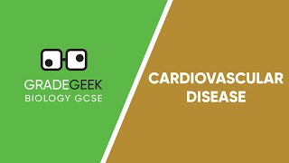 Understanding Cardiovascular Disease  GCSE Biology  GradeGeek [upl. by Cleary976]