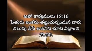 acts of apostles  chapter 12  living words tanuku  telugu audio bible [upl. by Kazimir]