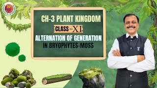 Alternation of Generation in Bryophytes Moss  Bryophytes in short  Class 11  Bio by Gulab Sir [upl. by Anauqaj]