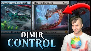 🐍 Dimir Control  ROTATION PROOF 🐍 Standard  Dimir  MTG Arena [upl. by Adolphe816]