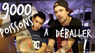 9000 POISSONS DAQUARIUM À DÉBALLER  VLOG TOOPET [upl. by Leiru]