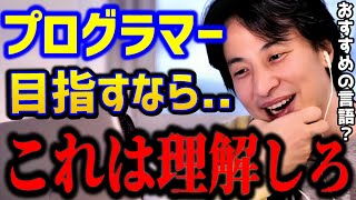 ※プログラマーを目指す人プログラミングは誰に聞く？この言語はおすすめできません。エンジニア転職まとめメンターキャリアkirinuki論破【ひろゆき切り抜き】 [upl. by Suivatnom]