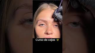 Cejas Perfectas  Laminado y Tinte de Cejas  Tutorial shorts Cejasperfectas cejashd [upl. by Etep]