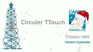 Circular TTouch TTouch Tips Advent Calendar Day 3 [upl. by Gladdy]