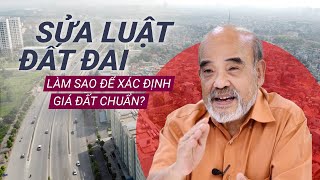 Giáo sư Đặng Hùng Võ Đừng sửa đổi Luật Đất đai quottrong phòng có máy lạnhquot  VTC Now [upl. by Ile]