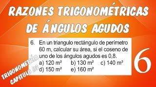 RAZONES TRIGONOMÉTRICAS DE ÁNGULOS AGUDOS I  TRIGONOMETRÍA CAPÍTULO 03 EJERCICIO 06 [upl. by Mcclain123]