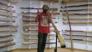 How to Create Didgeridoo Rhythms with Gumaroy Newman [upl. by Allister]