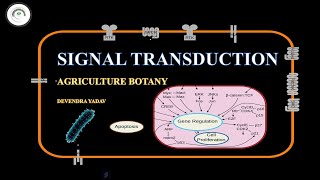 SIGNAL TRANSDUCTION  How Cells Communicate  DEVENDRA YADAV [upl. by Bicknell]