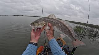 Aransas Pass Fishing FISH ARE PRIMED UP [upl. by Swanhildas31]