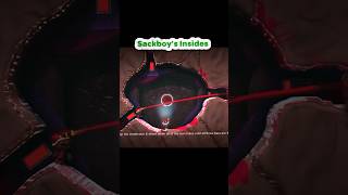 Sackboy’s Insides Part 3 playstation littlebigplanet sackboy [upl. by Anwahsak]