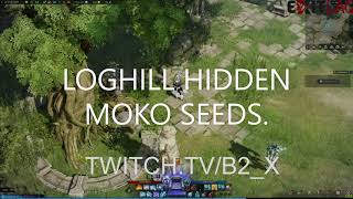 HIDDEN MOKOKO SEEDS RETHRAMIS LOGHILL LOST ARK 2022 [upl. by Irep]