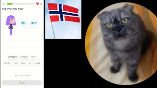 stunning Norwegian easy language learning [upl. by Daj]