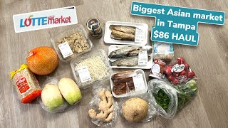 Bigger Asian store in Tampa FL Lotte Plaza 86 Grocery Haul [upl. by Redleh]