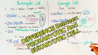 Difference between Prokaryotic and Eukaryotic cell  chap4  lec17 9th biology [upl. by Valtin]