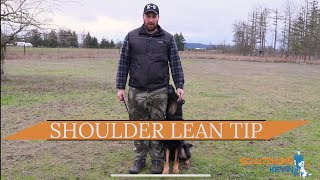 Shoulder Lean Tip  Schutzhund [upl. by Pergrim565]