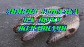 Зимняя рыбалка на щуку жерлицами [upl. by Prissie]