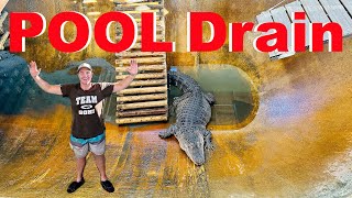 Alligator Pool FULL Drain [upl. by Aneleve32]