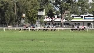 Goondiwindi 20231202 Race 5 [upl. by Neffirg]