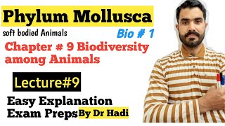 Phylum Mollusca Full Explanation for MDCAT and F Sc Students in Urdu Hindi BY Dr Hadi [upl. by Eelyrag]