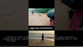 Walking on WaterMaster This Incredible Skill Now watersafety viralshort viralvideo ytshorts [upl. by Natye]